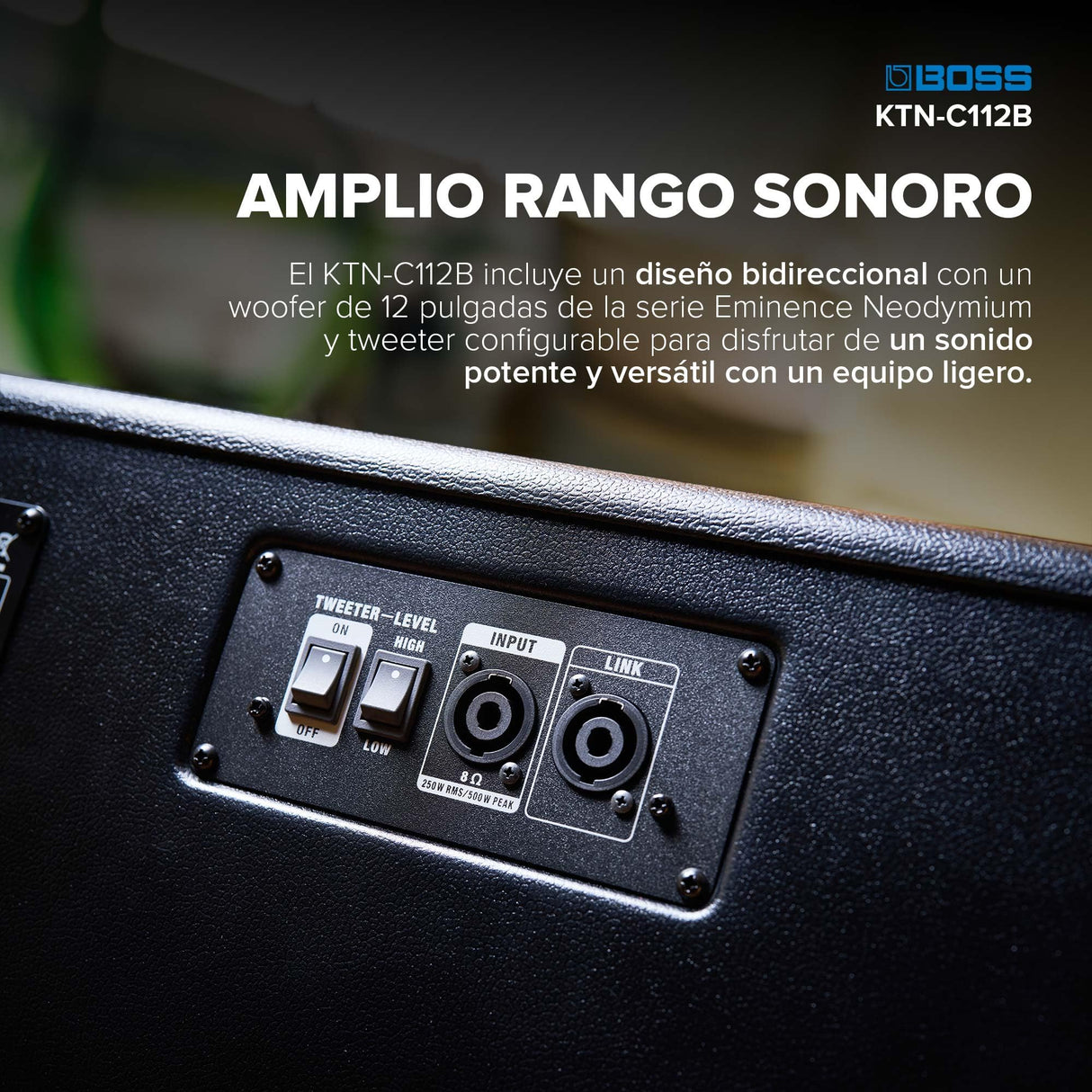 BOSS Katana Cabinet 112 Bass | Pantalla de Altavoz de Alto Rendimiento para bajistas Profesionales | Diseño Compacto con 500 vatios de Potencia | Woofer de 12 Pulgadas de la Serie Eminence Neodymium