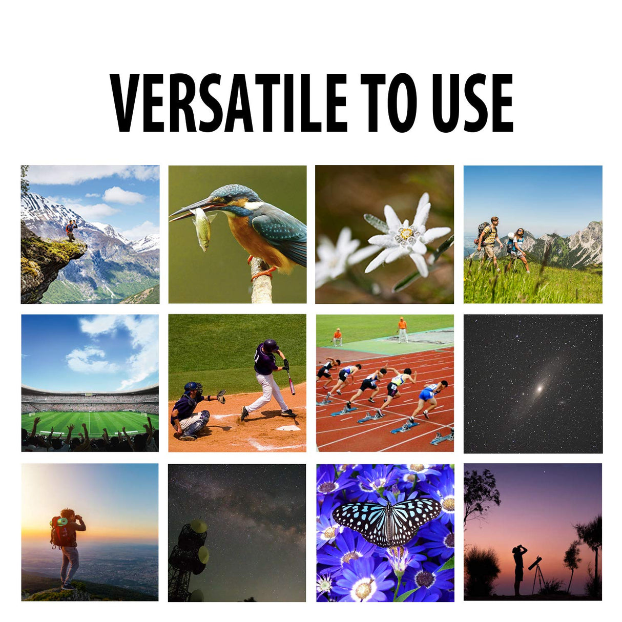 Pentax SP 12X50 - Prismáticos, Color Negro