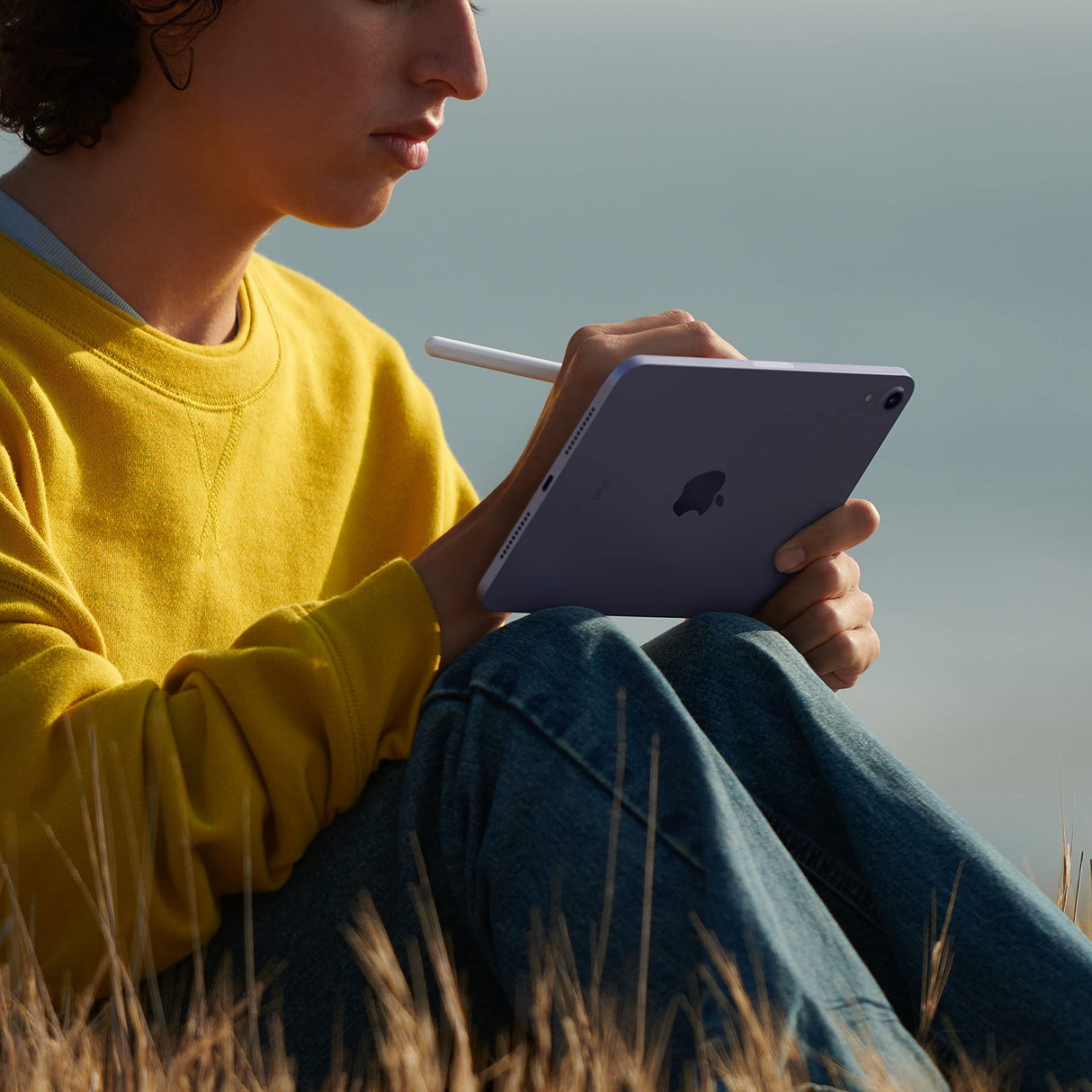 Apple 2021 iPad Mini (de 8,3 Pulgadas con Wi-Fi, 256 GB) - de en Malva (6.ª generación)