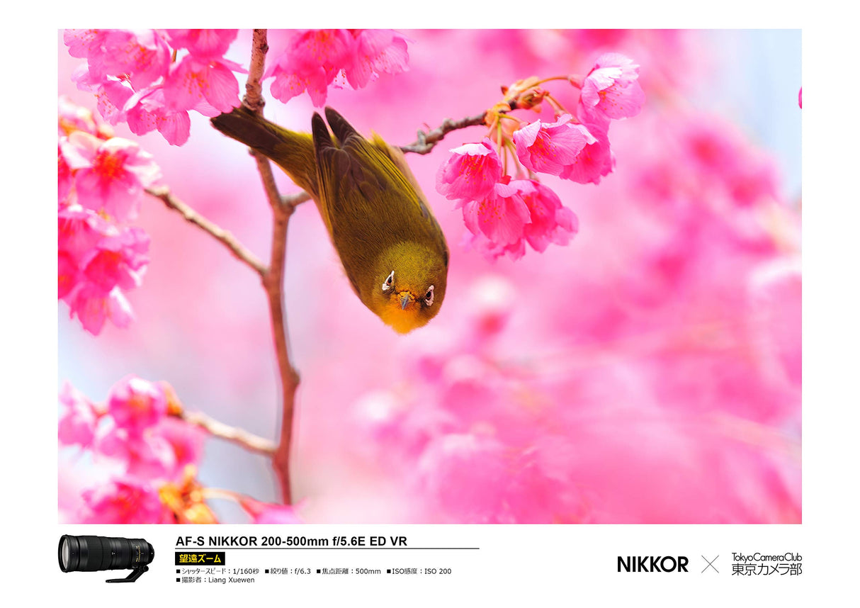 Nikon AF-S NIKKOR 200-500 mm 1:5,6E ED VR - Objetivo