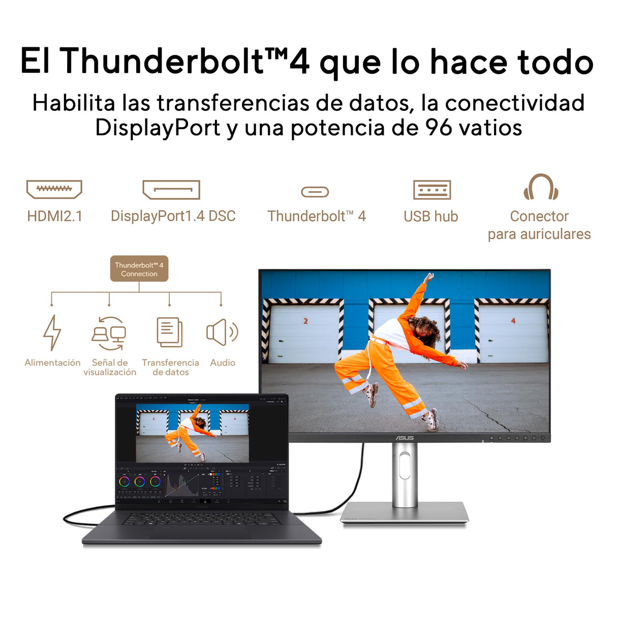 ASUS ProArt Display 6K PA32QCV - Monitor Profesional de 31,5", IPS, 6K (6016 x 3384), 98% DCI-P3, LuxPixel AGLR, ΔE<2, Calman, Thunderbolt 4, VESA DisplayHDR 600, KVM, DisplayWidget Center