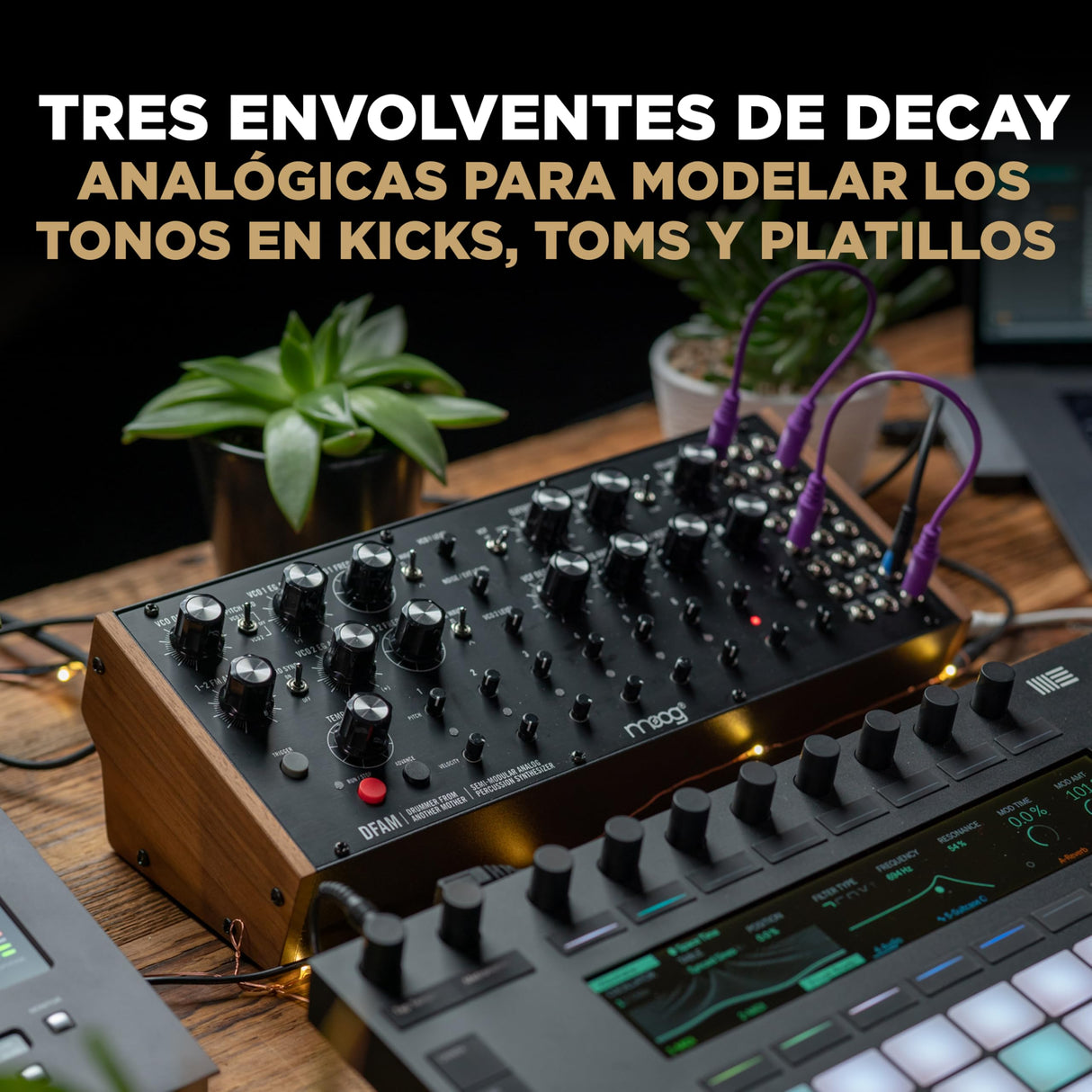 MOOG DFAM - sintetizador de percusión analógico semimodular con secuenciador de 8 pasos y bahía de parcheo de 24 puntos