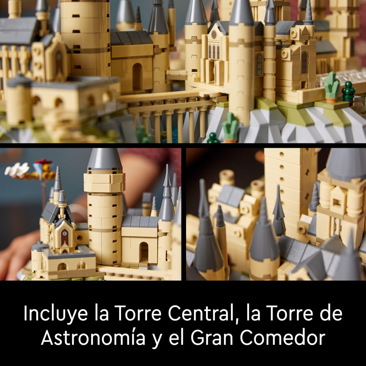 LEGO 76419 Harry Potter Castillo y Terrenos de Hogwarts, Set con Lugares Emblemáticos: Torre de Astronomía, Gran Comedor, Cámara de los Secretos y más, Maqueta de Exposición para Fans Adultos