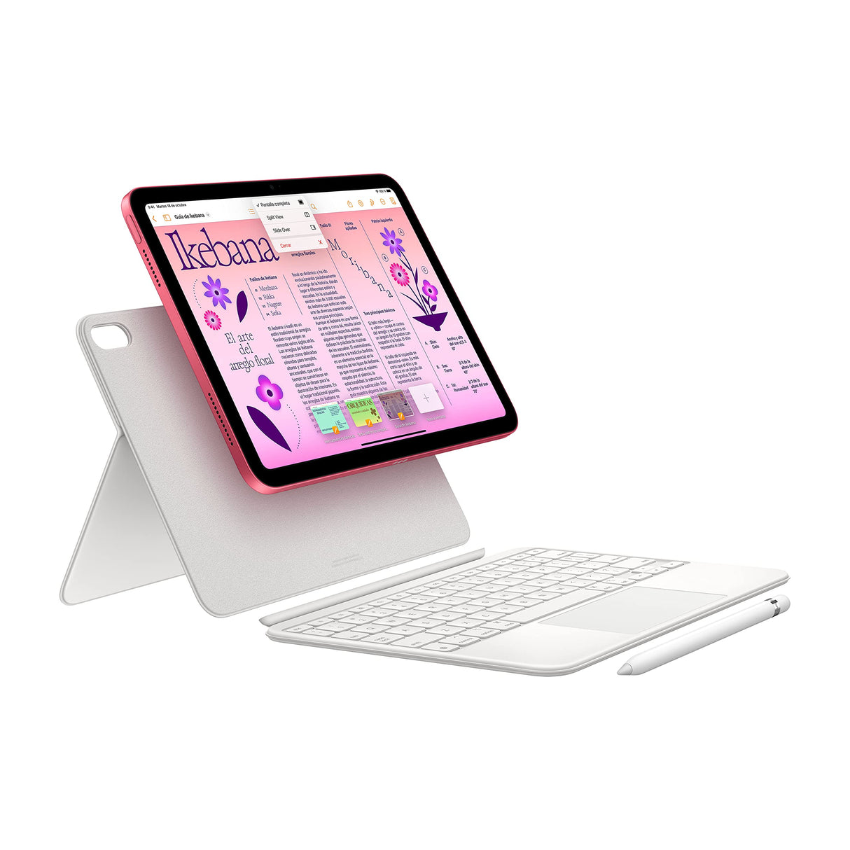 Apple 2022 iPad de 10,9 Pulgadas (Wi-Fi, 256 GB) - Plata (10.ª generación)