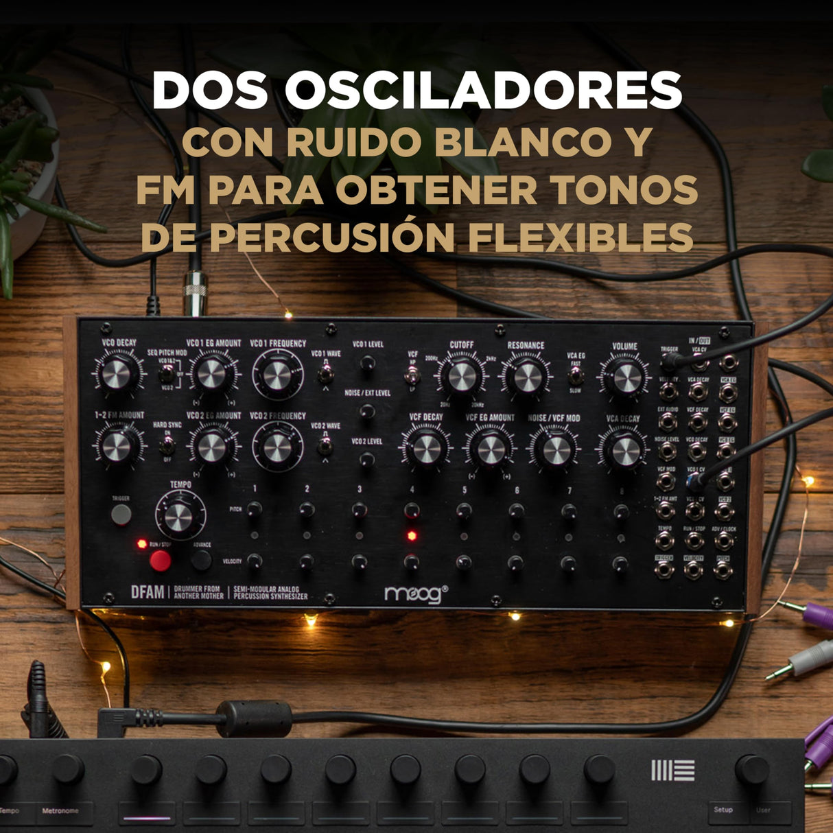 MOOG DFAM - sintetizador de percusión analógico semimodular con secuenciador de 8 pasos y bahía de parcheo de 24 puntos