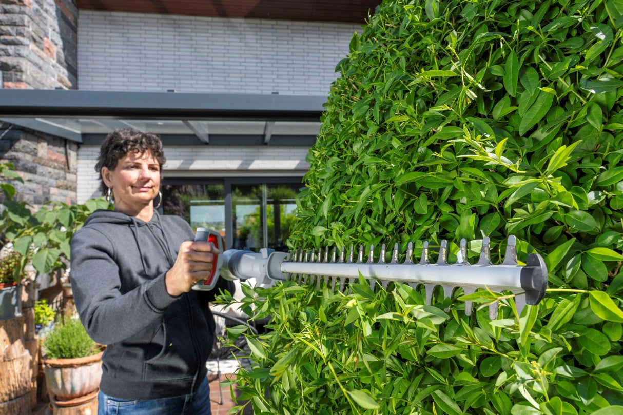 IKRA Tijeras Cortasetos 2 en 1 ICPH 2050 con pértiga telescópica para setos Altos, Incl. 2 baterías de 20 V, estación de Carga rápida y Cinta de Hombro