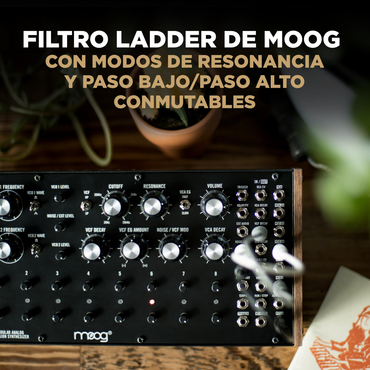 MOOG DFAM - sintetizador de percusión analógico semimodular con secuenciador de 8 pasos y bahía de parcheo de 24 puntos