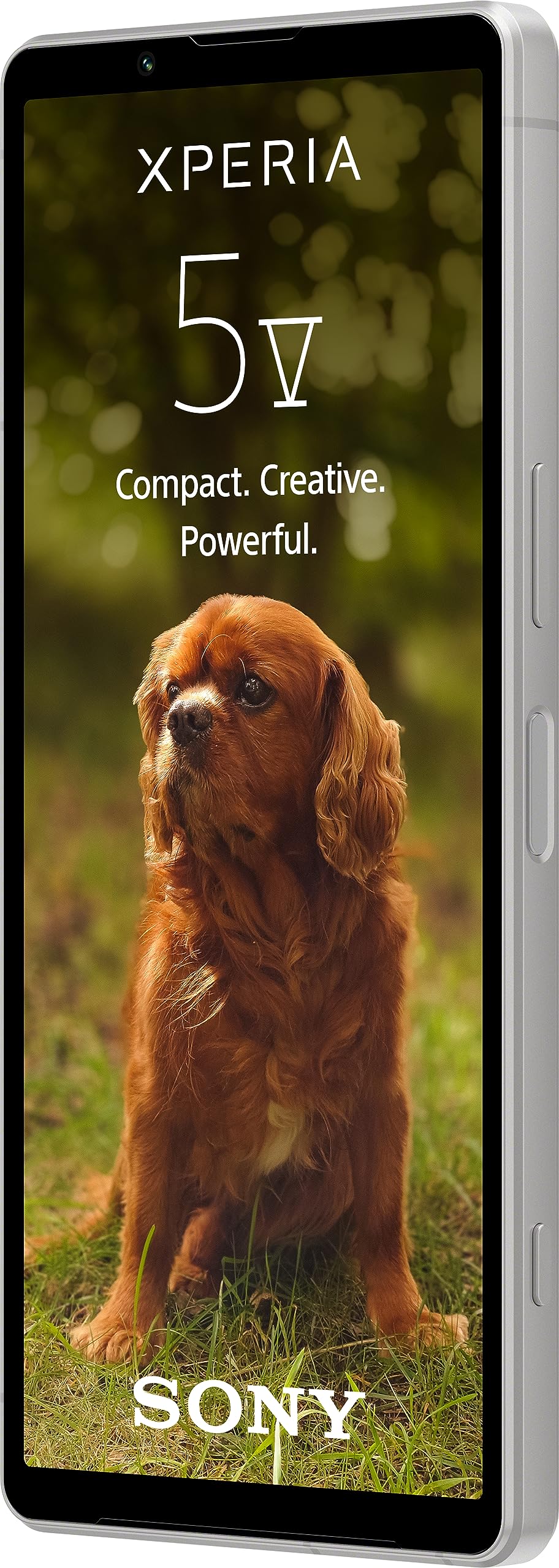 Sony Xperia 5 V (6,1 Pulgadas, 21:9, HDR OLED 120 Hz, más de 24 Horas de duración de la batería, Sensor Next Gen y ZEISS, Clavija de 3,5 mm, IP65/68) 24 + 12 Meses de garantía del Fabricante