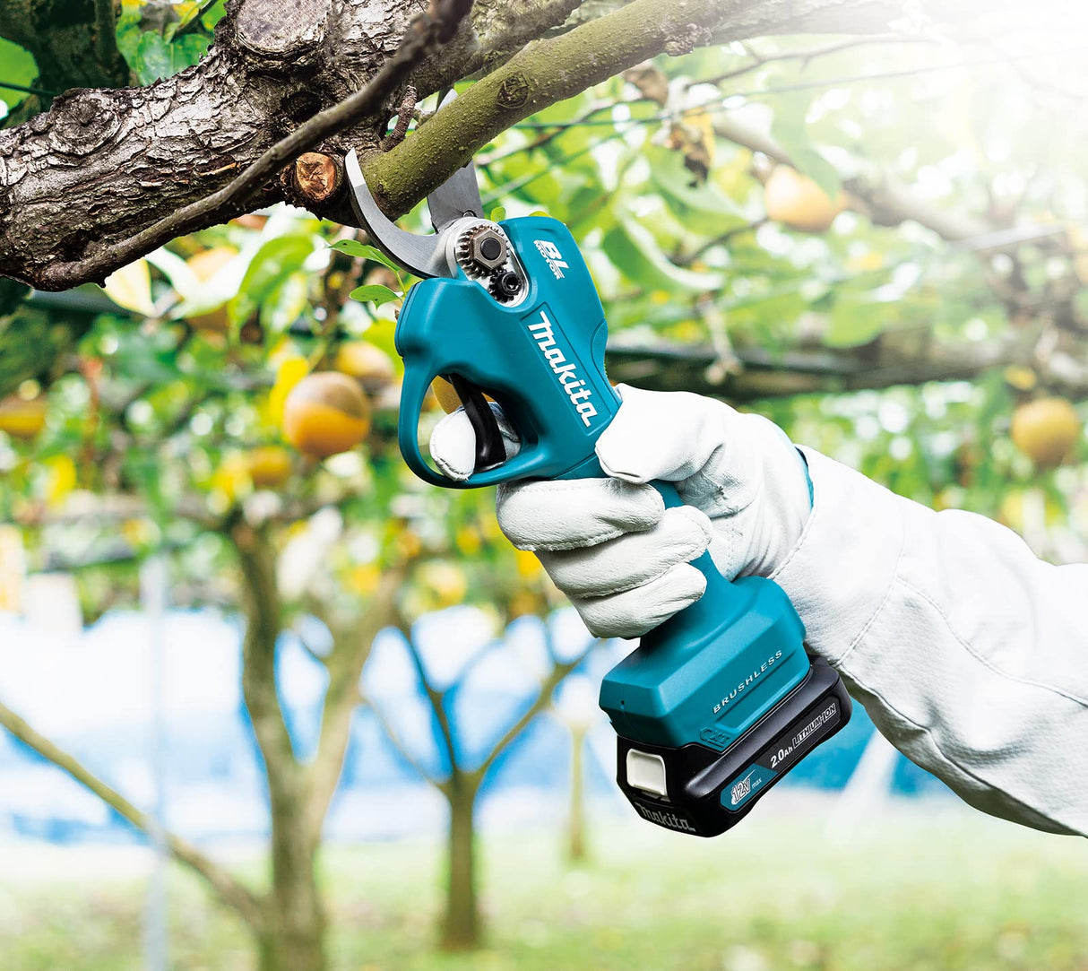 Makita UP100DSMJ - Tijeras de podar sin escobillas, 12 V máximo, iones de litio, incluye 1 batería de 4,0 Ah y cargador suministrado en una funda Makpac