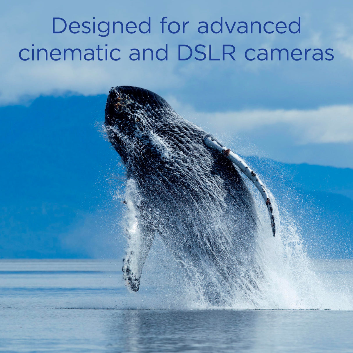 Integral 2TB CFexpress Memory Card Type B 2.0 12K and 8K Raw and 8K 120 FPS 1800MB/s Read 1700MB/s Write Speed 1300MB/s Sustained Write Speed Designed for Advanced Cinematic and DSLR Cameras