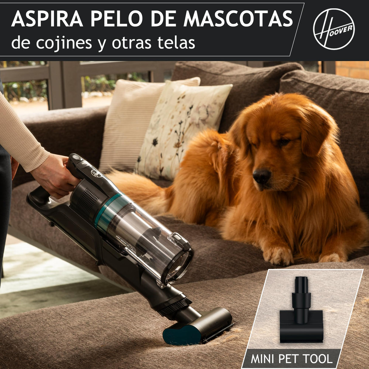 Hoover HF1 Plus Aspiradora sin Cable con Modo Turbo, Boquilla Multifuncional y Cepillo Antienredos, 45 min de Autonomía, Park&Go, Luces LED, Herramienta para Mascotas HF1P10P