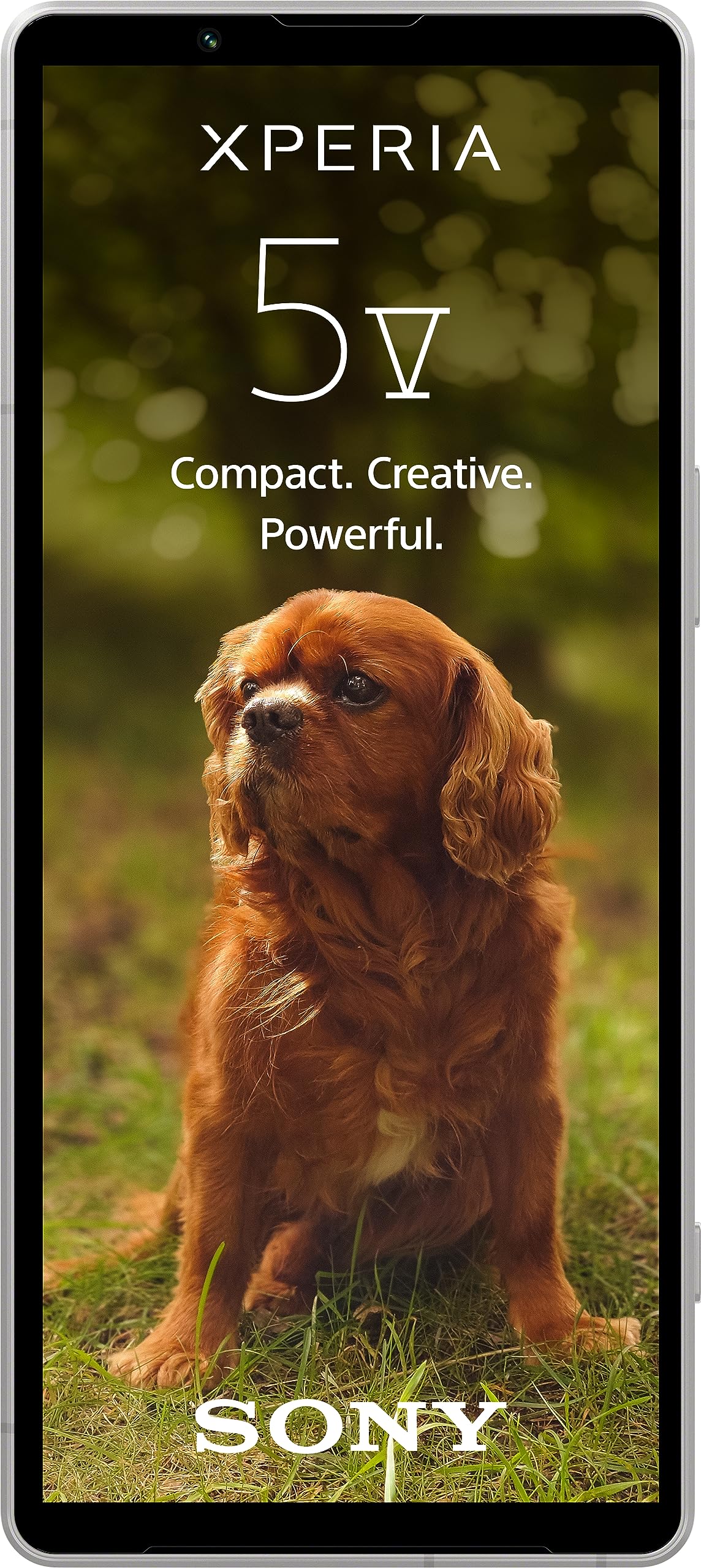 Sony Xperia 5 V (6,1 Pulgadas, 21:9, HDR OLED 120 Hz, más de 24 Horas de duración de la batería, Sensor Next Gen y ZEISS, Clavija de 3,5 mm, IP65/68) 24 + 12 Meses de garantía del Fabricante