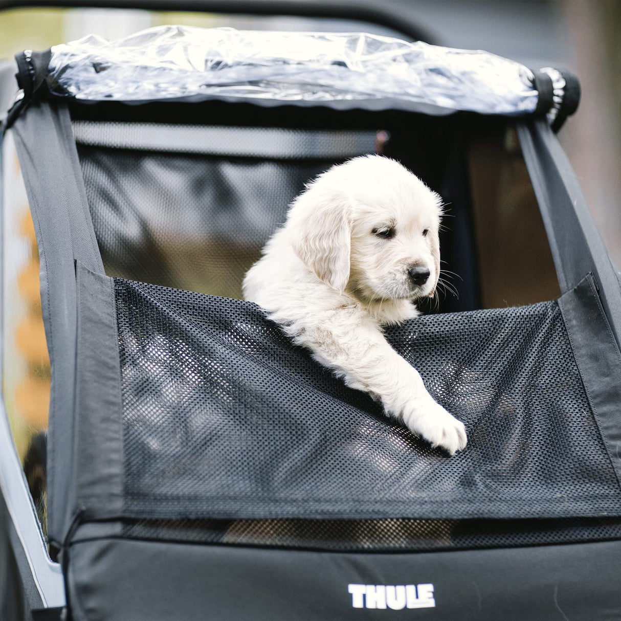 Thule, Courier, Remolque De 2 Plazas para Bicicletas, BLU, U, Admirador Unisex