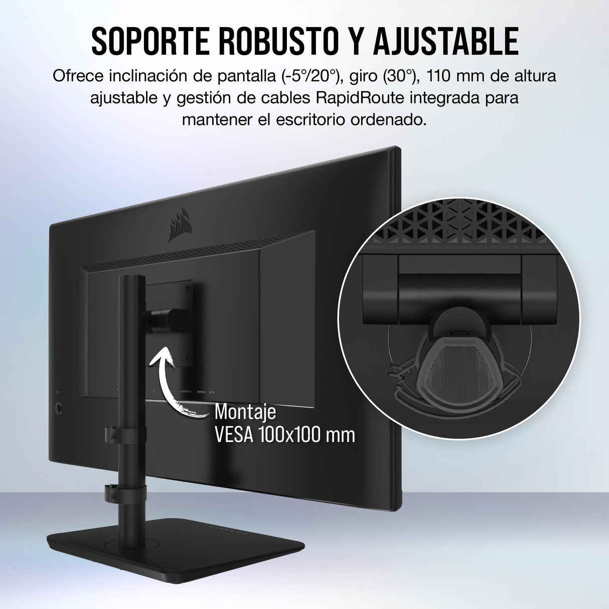 Corsair XENEON 315QHD165 Monitor de Juegos IPS de 32 Pulgadas - 2560 x 1440, 165 Hz, 1 ms, Compatible con NVIDIA G-Sync, AMD FreeSync Premium, HDR Ready, DisplayPort, HDMI 2.0, USB 3.0 - Negro