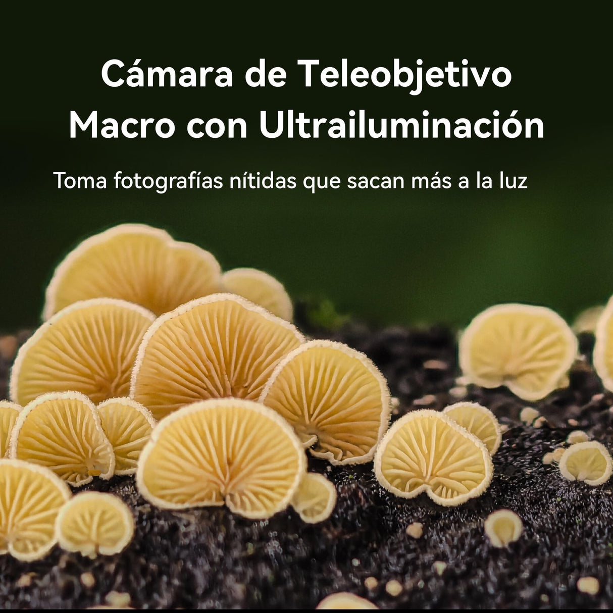 HUAWEI Pura 70 Pro Smartphone, 12GB RAM + 512GB ROM, Pantalla Plana, Admite Instantáneas a Velocidad Ultraalta, Cristal Kunlun Superduradero, Supercharge de 100 W, Batería de 5050 mAh, Negro
