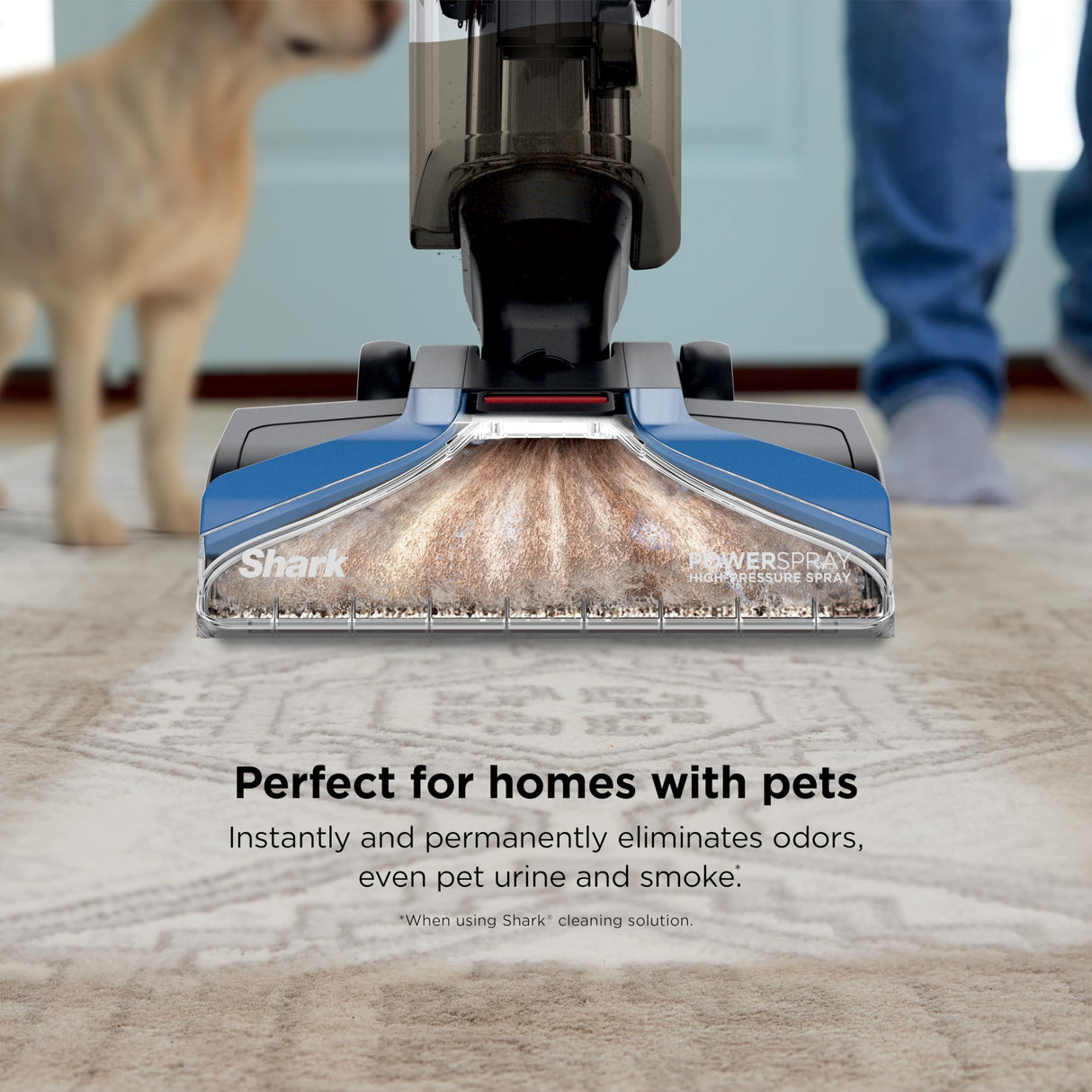 Shark EX121BRN CarpetXpert, limpiador de alfombras vertical para mascotas, limpieza profunda y eliminación de suciedad y suciedad, champú de alfombras, azul