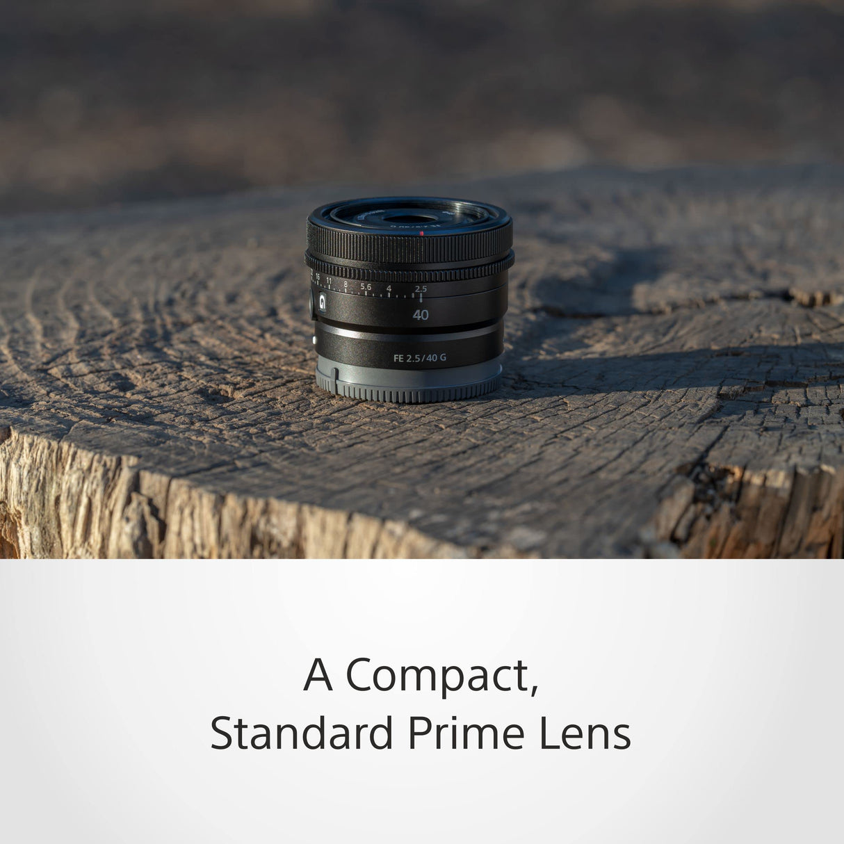 Sony SEL40F25G - Objetivo Full Frame FE 40mm F2.5 G (Objetivo para Retratos, Gran Angular, Prime, Serie G), Negro