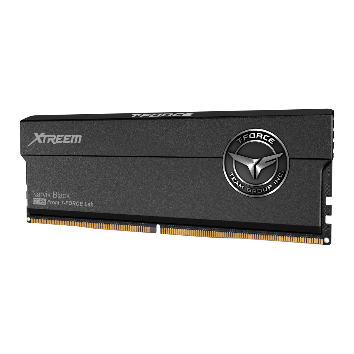 DIMM 32 GB DDR5-8000 (2 x 16 GB) Dual-Kit (Schwarz, FFXD532G8000HC38DDC01, XTREEM, Intel XMP, AMD Expo)