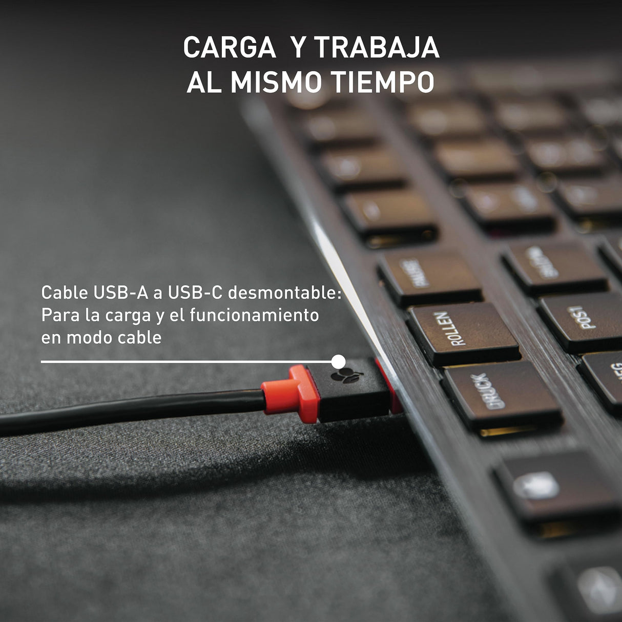 CHERRY KW X ULP, Teclado Mecánico Ultraplano de Alta Gama, Distribución de Teclado Europeo (QWERTY), Inalámbrico, Multidispositivo Para Hasta 4 Dispositivos, Recargable, Negro
