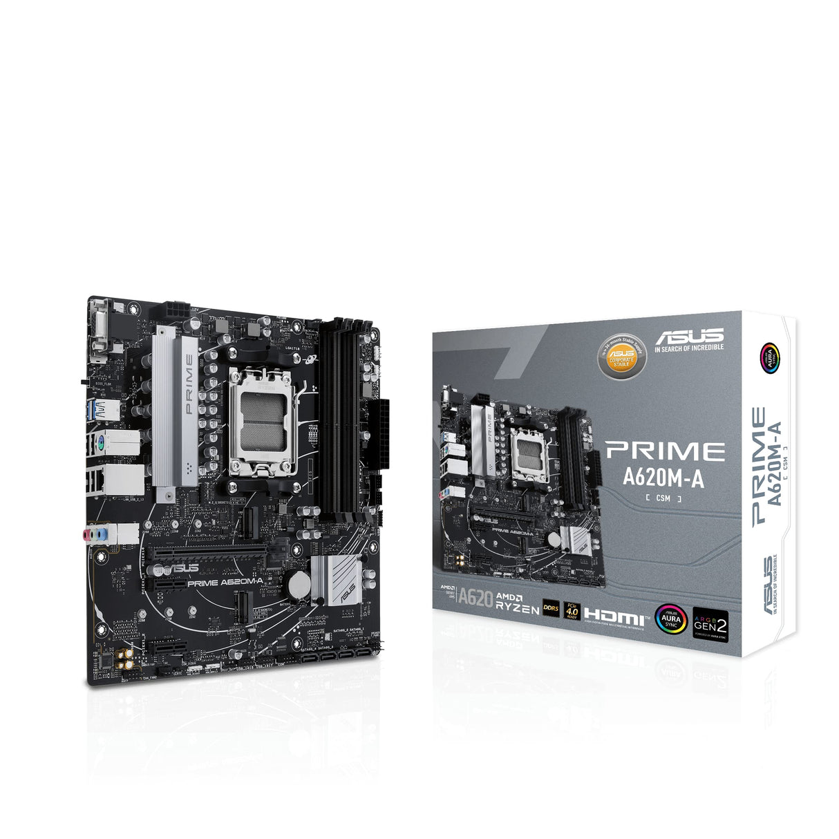 Asus Prime A620M-A-CSM - Modelo corporativo Estable, AMD A620, AM5, Micro ATX, 4 DDR5, VGA, HDMI, DP, GB LAN, PCIe4, 2X M.2
