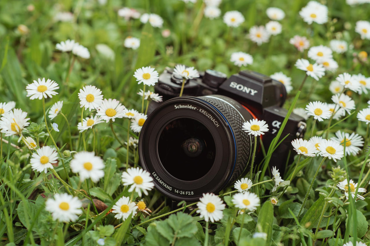 Samyang AF 14-24mm F2.8 Sony FE