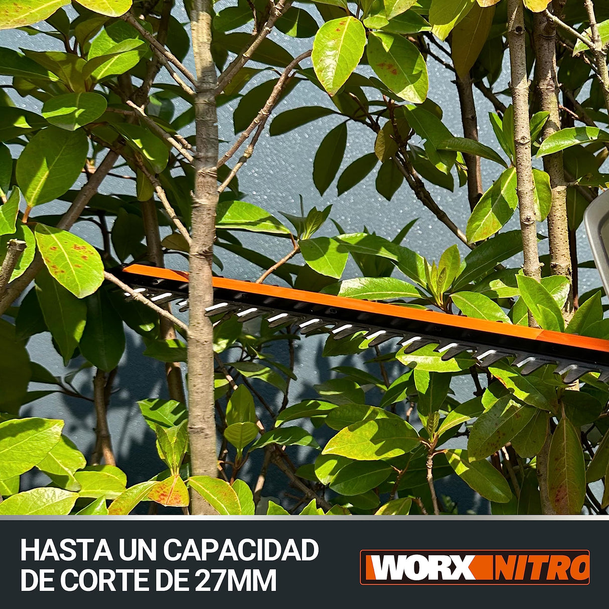 WORX Cortasetos a batería | WG286E | 40v Máx. | 2 Baterías de 20V y 2Ah | Pisajismo y jardineria