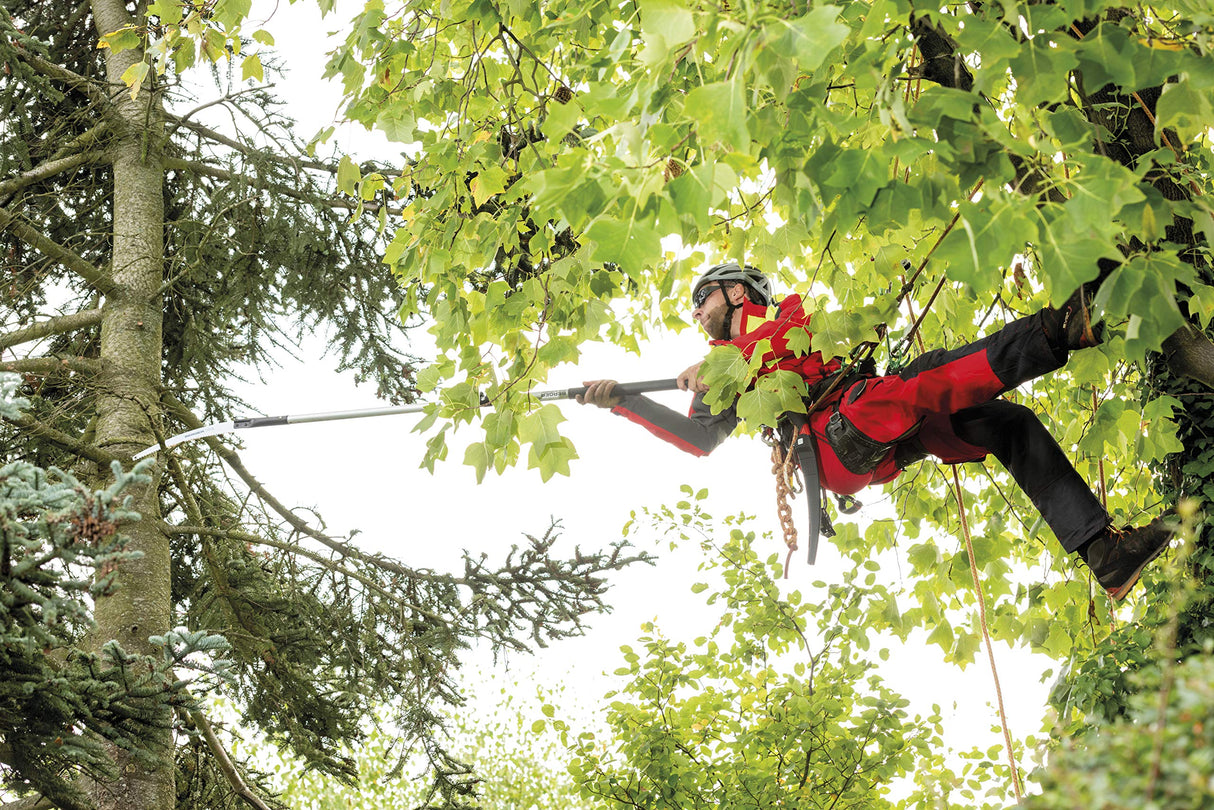 BERGER ArboRapid pértiga telescópica, Longitud: 1.75-6.35 m para la poda de árboles, núm. 75830