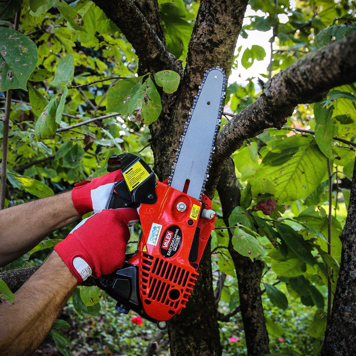 Valex - Motosierra de podar Easy 26A Carving Catalizada, Rojo