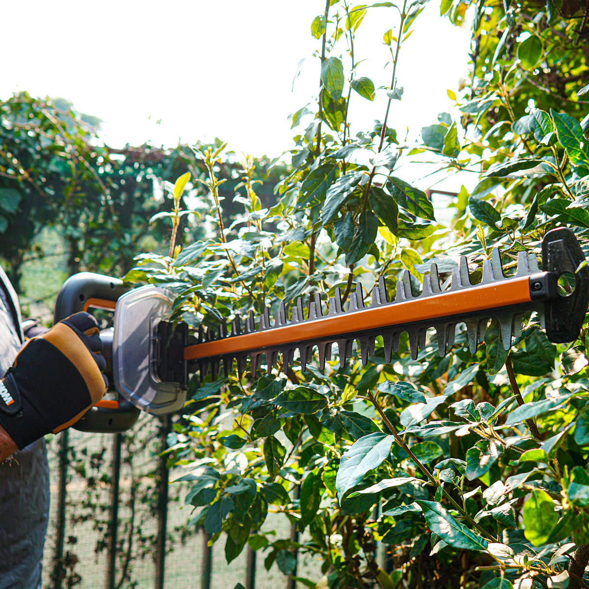 WORX Nitro - Cortasetos inalámbricos 20 V - 4 Ah - Hoja de 56 cm - Diámetro 27 mm - WG263E (Suministro con batería y Cargador, Motor sin escobillas, Cuchillas de Doble acción)