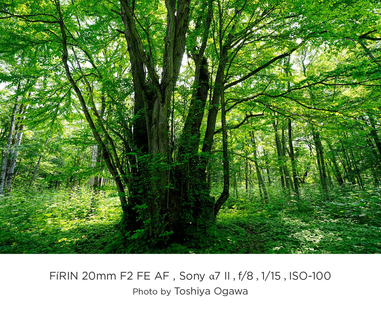 Tokina Firin AF - Objetivo Angular 20 mm AF, Color Negro