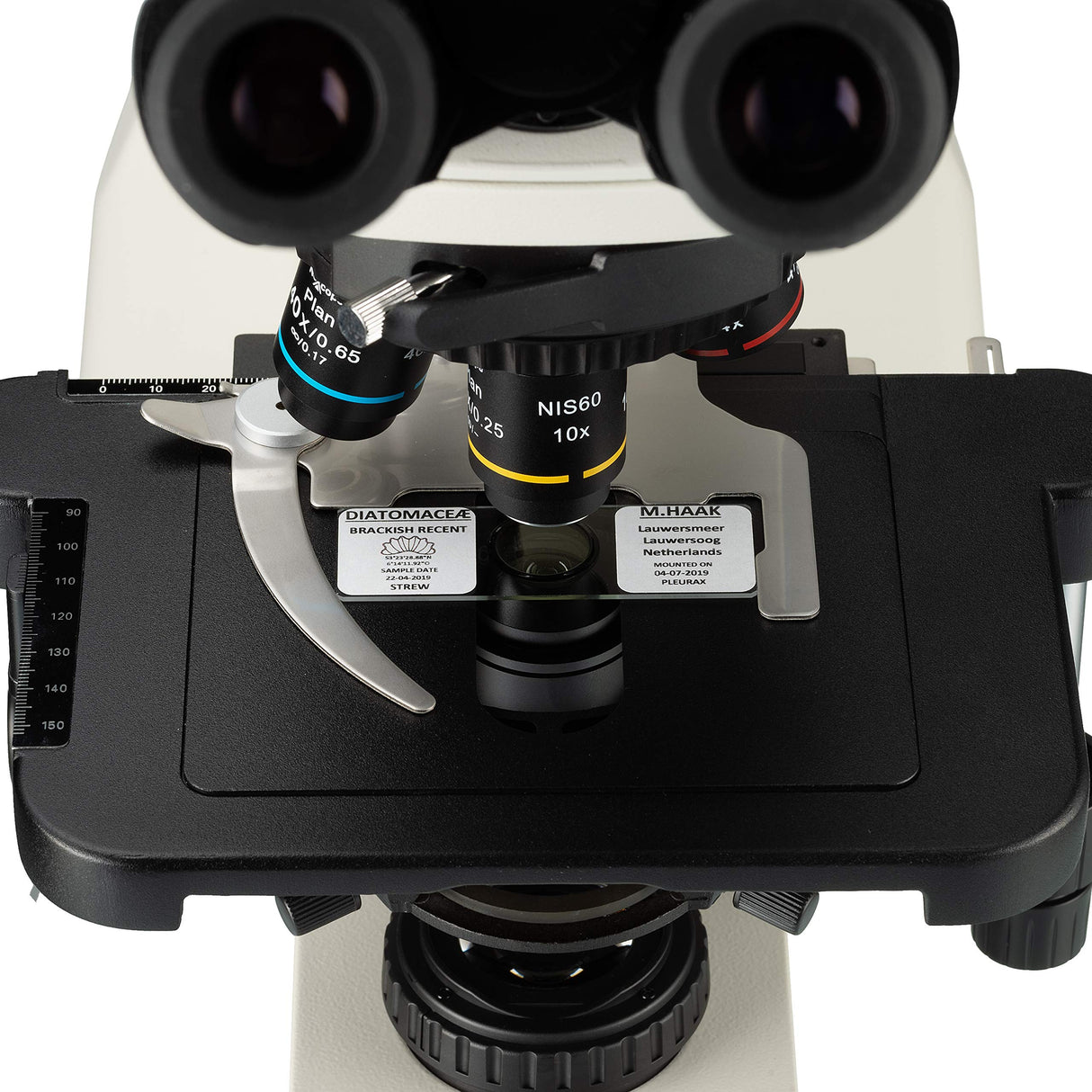 Nexcope Microscopio Vertical biológico NE620T para Aplicaciones Profesionales