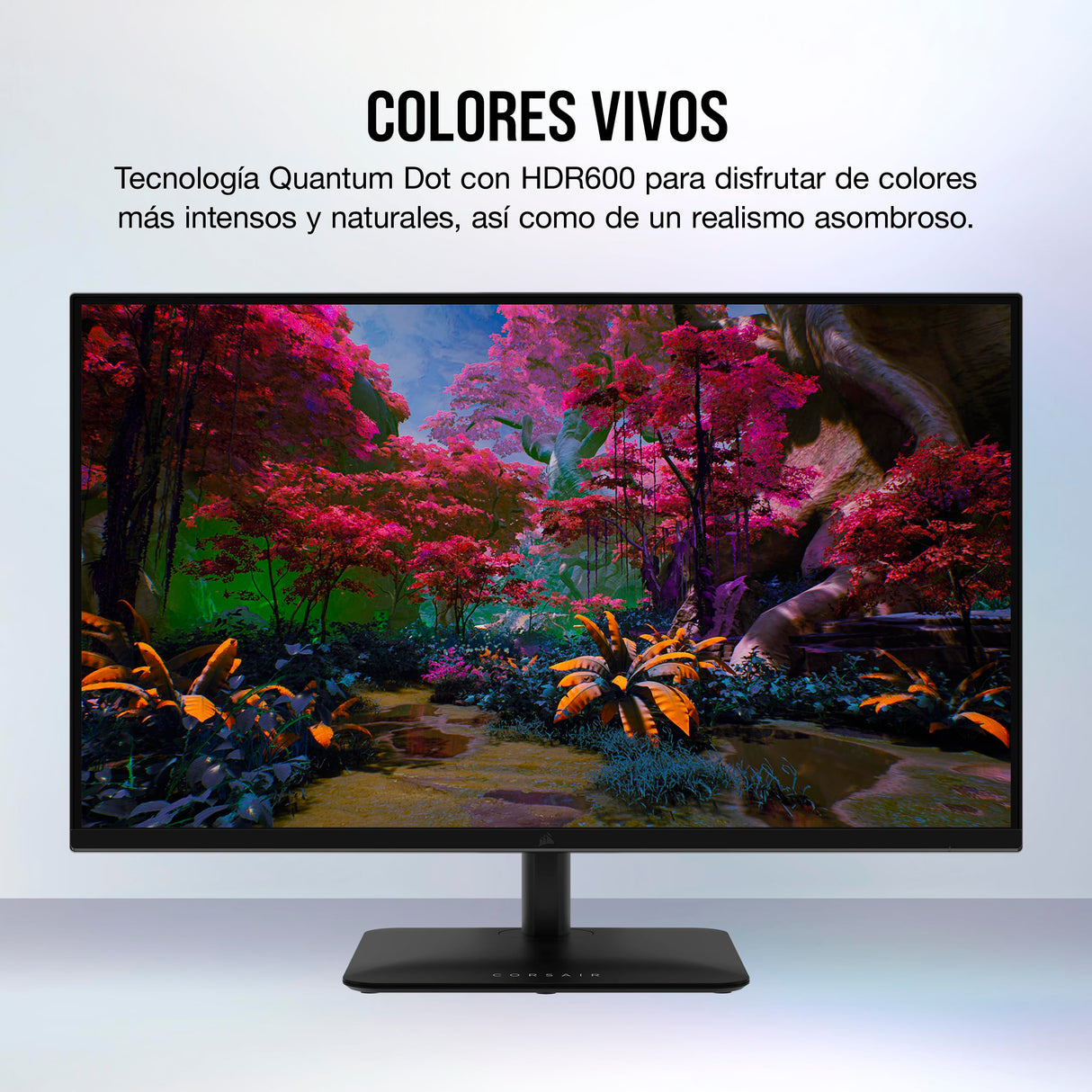 Corsair XENEON 32UHD144-A de 32 Pulgadas Monitor para Juegos 4K - 144 Hz, IPS, 1 ms, 3840 x 2160, FreeSync Premium, HDR600, DisplayPort, HDMI, Concentrador USB-C