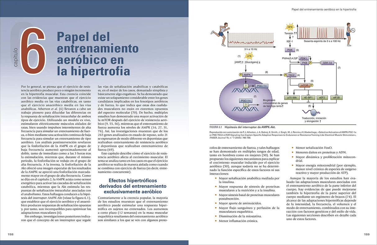 Ciencia y desarrollo de la hipertrofia muscular. Nueva edición ampliada y actualizada (SIN COLECCION)