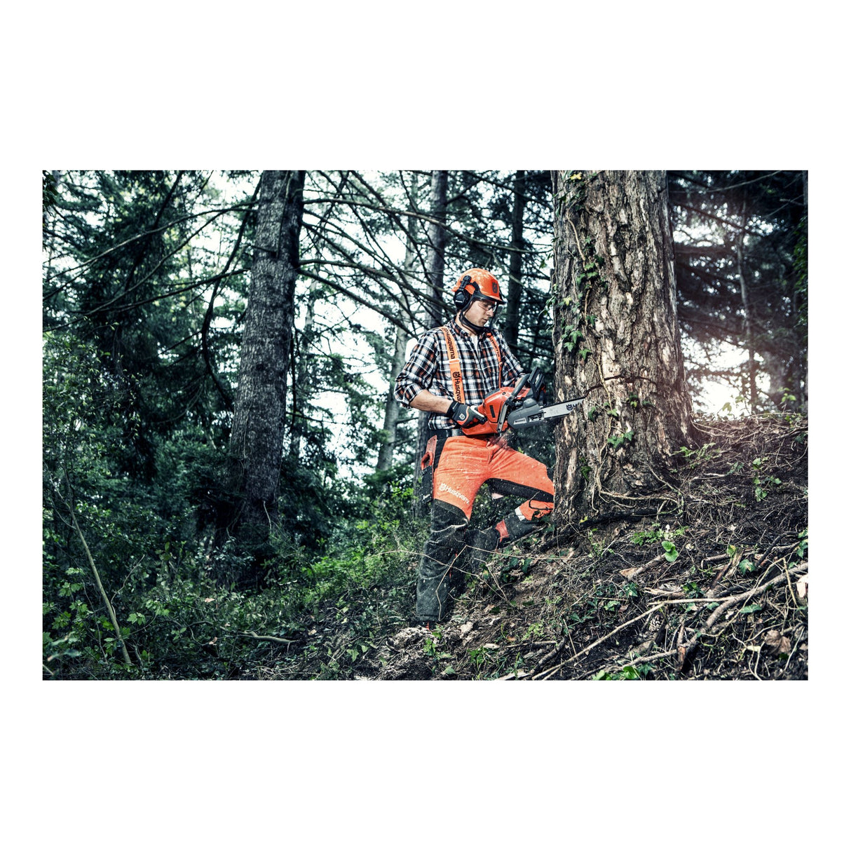 Motosierra térmica HUSQVARNA 560 XP – Guía 45cm SN
