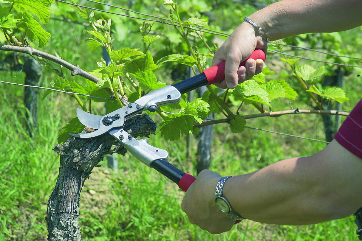 FELCO 21 podadora bypass universal profesional, corte de ramas hasta 35 mm, mangos ergonómicos de aluminio forjado, hoja de acero templado 65 mm, 630 mm, 1130 g, fabricación suiza
