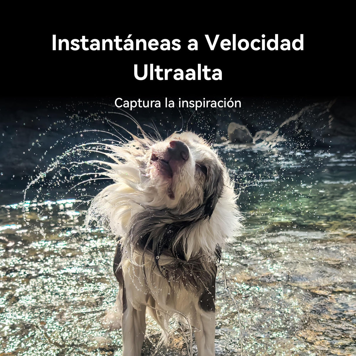 HUAWEI Pura 70 Pro Smartphone, 12GB RAM + 512GB ROM, Pantalla Plana, Admite Instantáneas a Velocidad Ultraalta, Cristal Kunlun Superduradero, Supercharge de 100 W, Batería de 5050 mAh, Negro