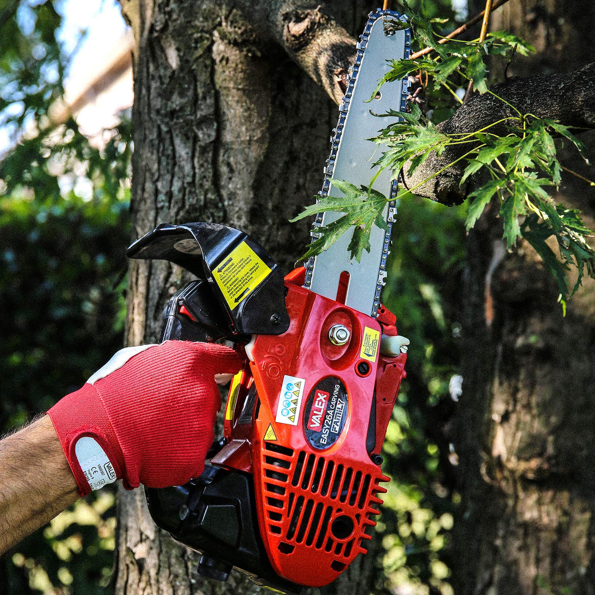 Valex - Motosierra de podar Easy 26A Carving Catalizada, Rojo
