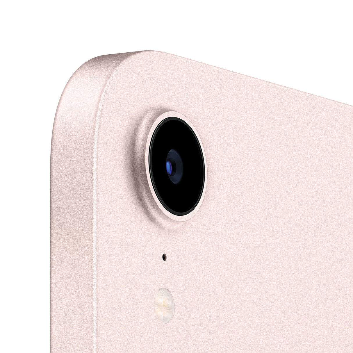 Apple 2021 iPad Mini (de 8,3 Pulgadas con Wi-Fi, 256 GB) - Rosa (6.ª generación)