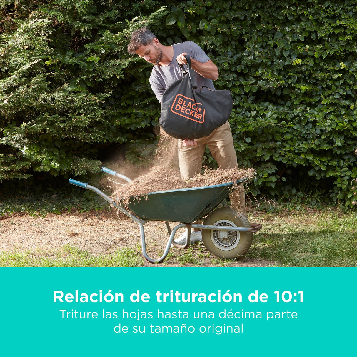 BLACK+DECKER Sopladora, aspiradora y trituradora de Hojas sin Cable de 36v, con Bolsa de recolección de 45L y batería de Litio de 2.5Ah, BCBLV3625L1-QW