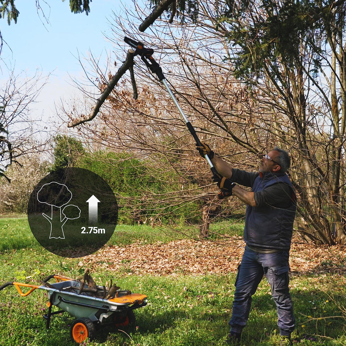 WORX NITRO Mini Motosierra batería 5 Pulgadas WG325E.1, Sierra de poda con pértiga de extensión de 125 cm, Motor sin Escobillas, PowerShare 20V, 1 batería y 1 cargador incluido