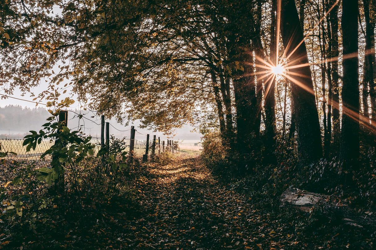 Tokina ATX-m 23mm F1,4 Sony E A+