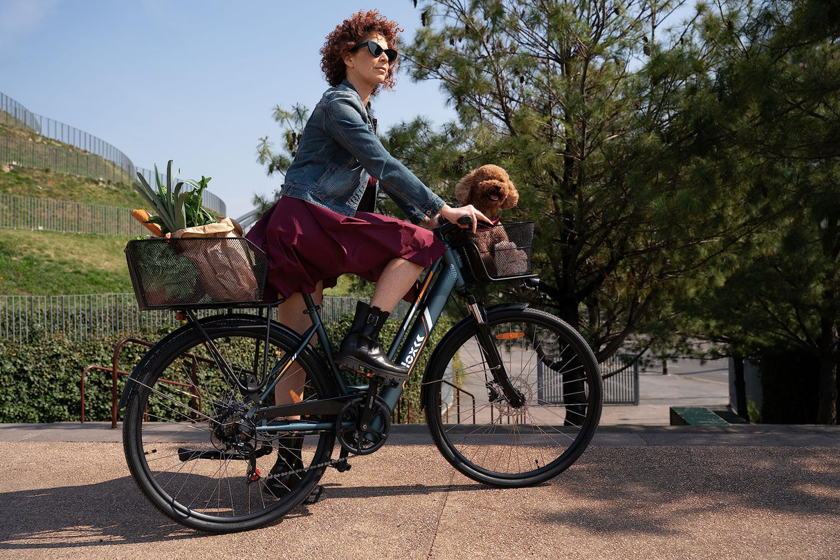 Nilox C1, Ebike Cargo Light, Capacidad Cargo 15 kg Delante y 25 kg Detrás, Autonomía hasta 55 km, Motor BAFANG 250 W, Sensor de Par, Batería 10 Ah 360 Wh, Caja de Cambios SHIMANO de 6 Velocidades
