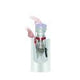 Dyson Big Ball Parquet 2 aspiradora
