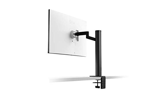 LG 32UN88A-W - Monitor 4K UHD UltraFine Ergo 32 pulgadas, 3840x2160, 60Hz, 5 ms, 1000:1, 350nit, DCI-P3 95%, 16:9, HDMI, DisplayPort, Conectividad Universal, Inclinación Ajustable, Color Blanco