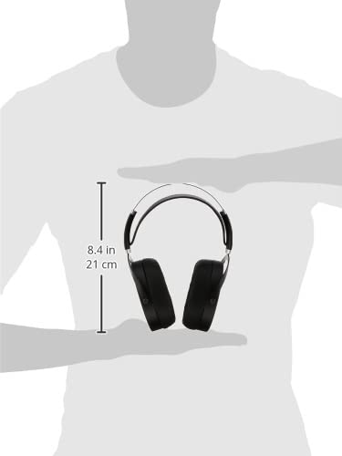 HiFiMAN Sundara - Auriculares, Negro, 30 x 20