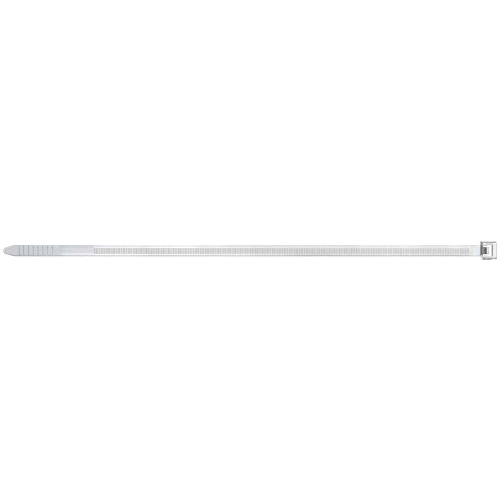 FISCHER 038000 - Brida BN 8,8x810 natural (Envase de 100 ud.)
