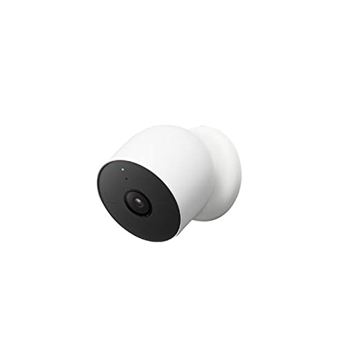 Google CAM Outdoor Indoor R2 Snow