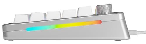 Glorious Gaming GMMK 3 Pro: anpassat mekaniskt tangentbord, 75% TKL, modulärt aluminiumhölje Och packningssystem, utbytbara MX-brytare, ljuddämpande skum, anpassade tangenter, USA QWERTY - Silver