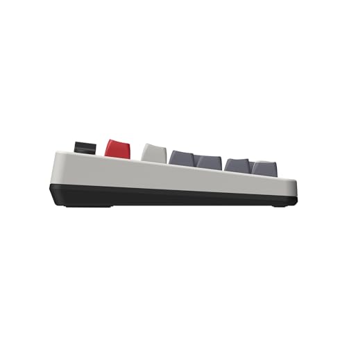 8BitDo Retro 108 Mechanical Keyboard with 108 Keys and Integrated Numpad, Bluetooth/2.4G/USB-C Hot Swappable Wireless Gaming Keyboard for Windows and Android - N Edition - QWERTY English Keyboard