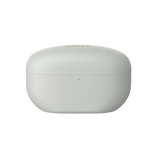 Sony Auriculares inalámbricos con Noise Cancelling WF-1000XM5, Bluetooth, Auriculares in-Ear, micrófono, hasta 24 Horas de batería, Carga rápida, IPX4, Alexa y Google Assitant, iOS y Android - Plata